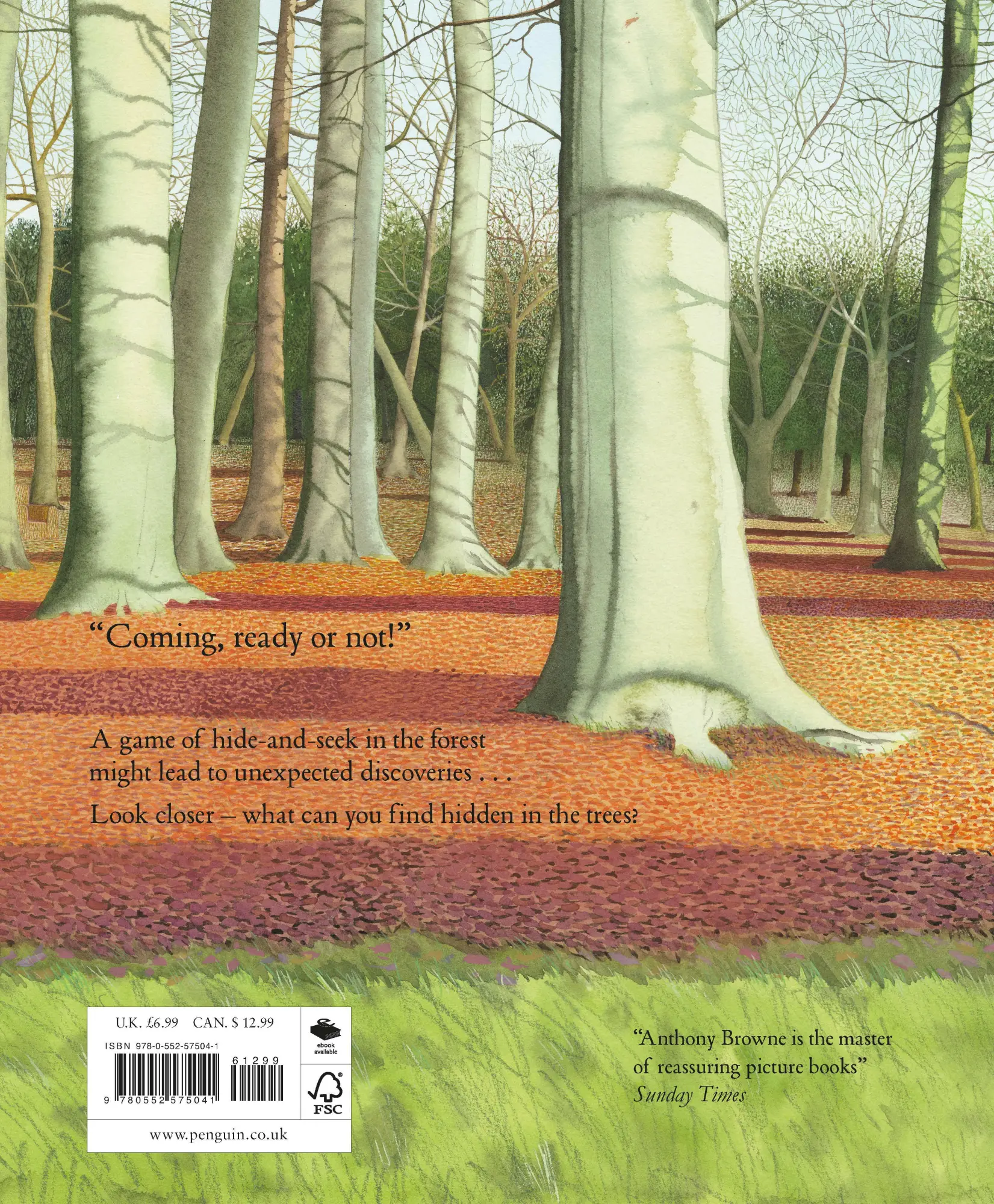 Rückseite: 9780552575041 | Hide and Seek | Anthony Browne | Taschenbuch | Kartoniert / Broschiert