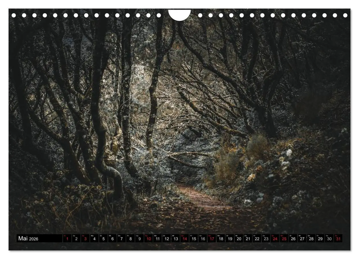 Bild: 9783516015041 | Madeira - Eine Perle des Atlantiks (Wandkalender 2026 DIN A4 quer),...