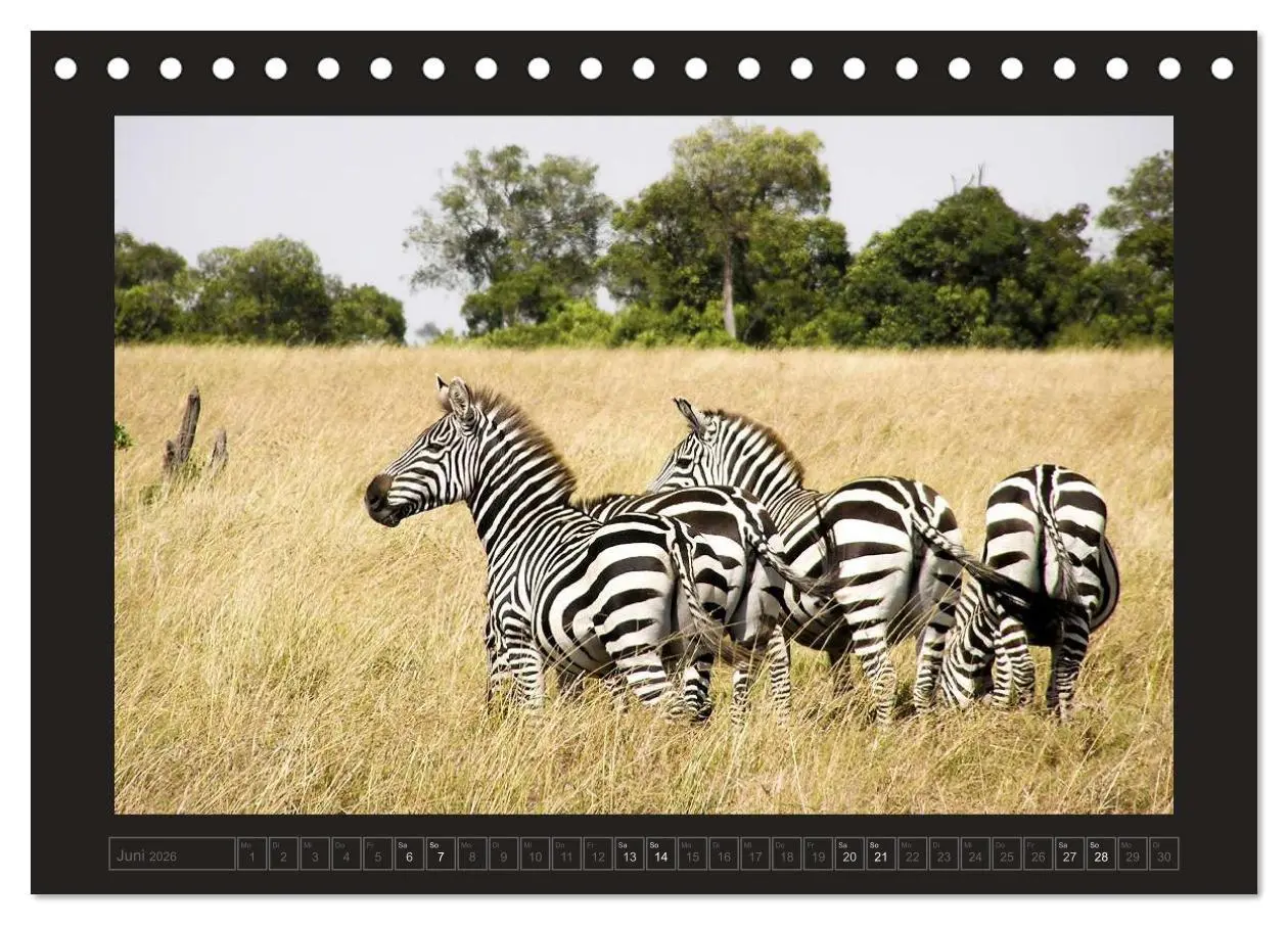 Bild: 9783516175141 | Kenia (Tischkalender 2026 DIN A5 quer), CALVENDO Monatskalender | 2026