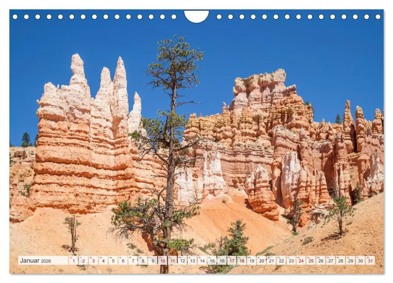 Bild: 9783457375341 | FASZINATION USA Geniale Landschaften (Wandkalender 2026 DIN A4...