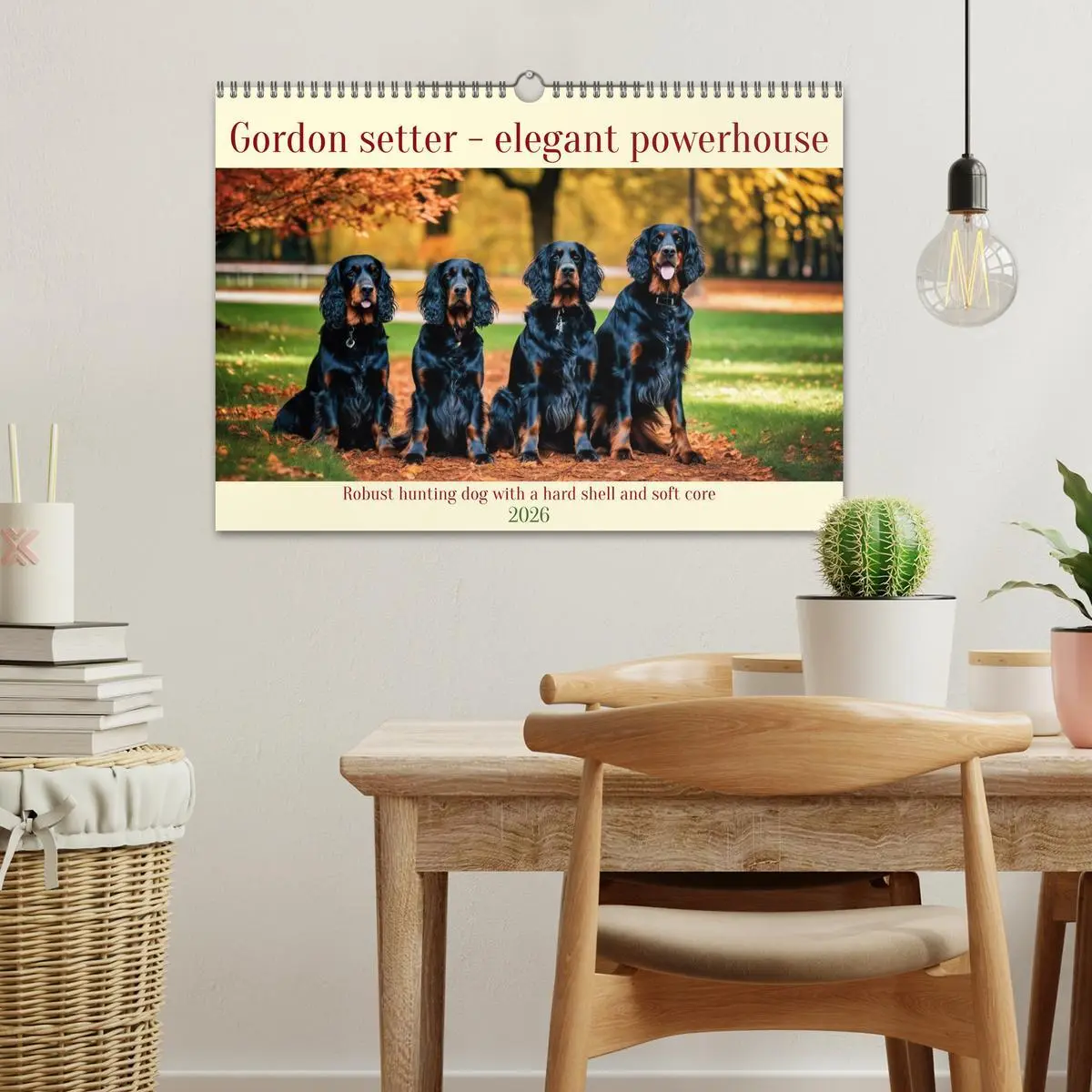 Bild: 9783516535341 | Gordon Setter - elegant powerhouse (Wall Calendar 2026 DIN A3...