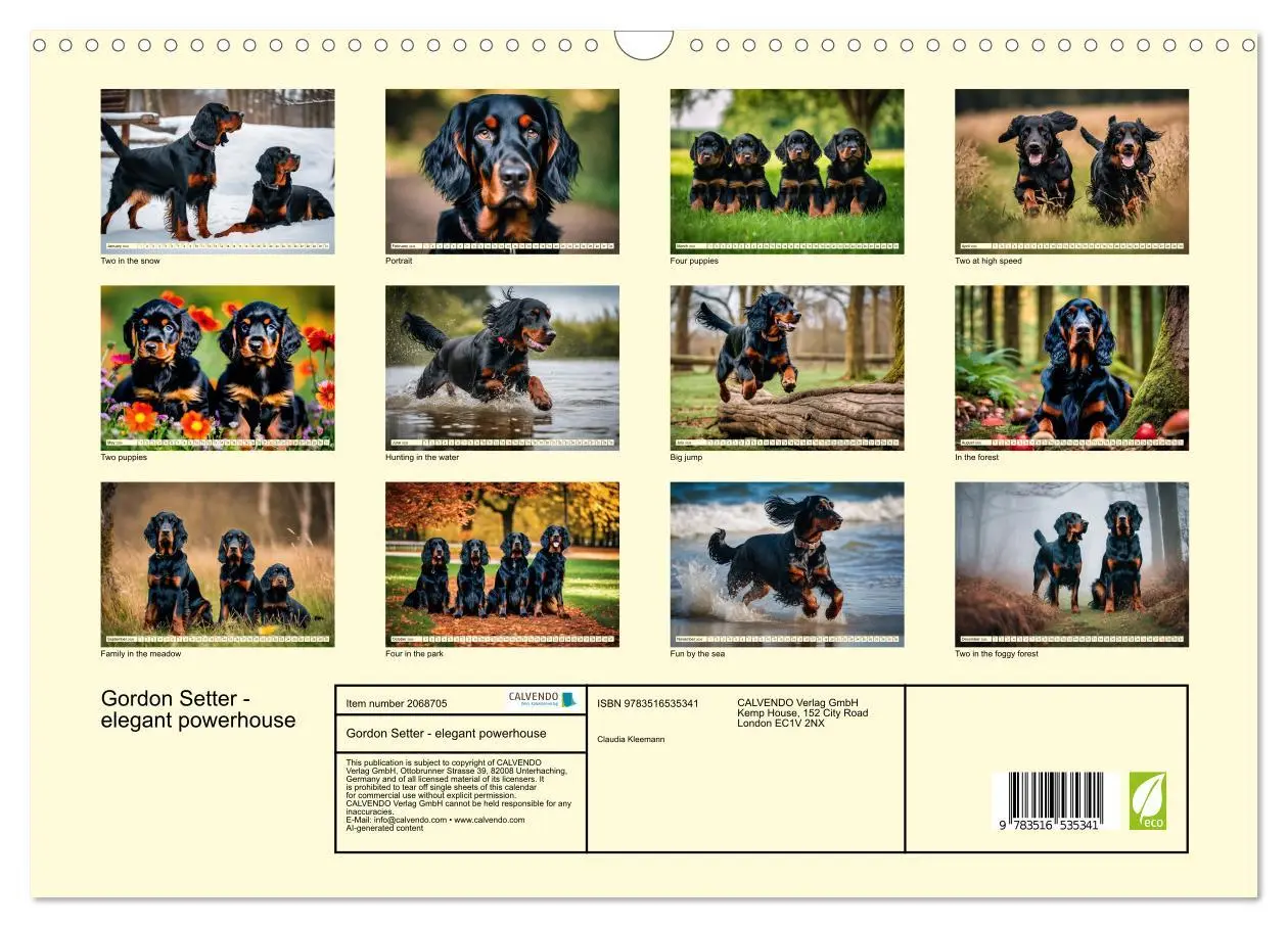 Bild: 9783516535341 | Gordon Setter - elegant powerhouse (Wall Calendar 2026 DIN A3...