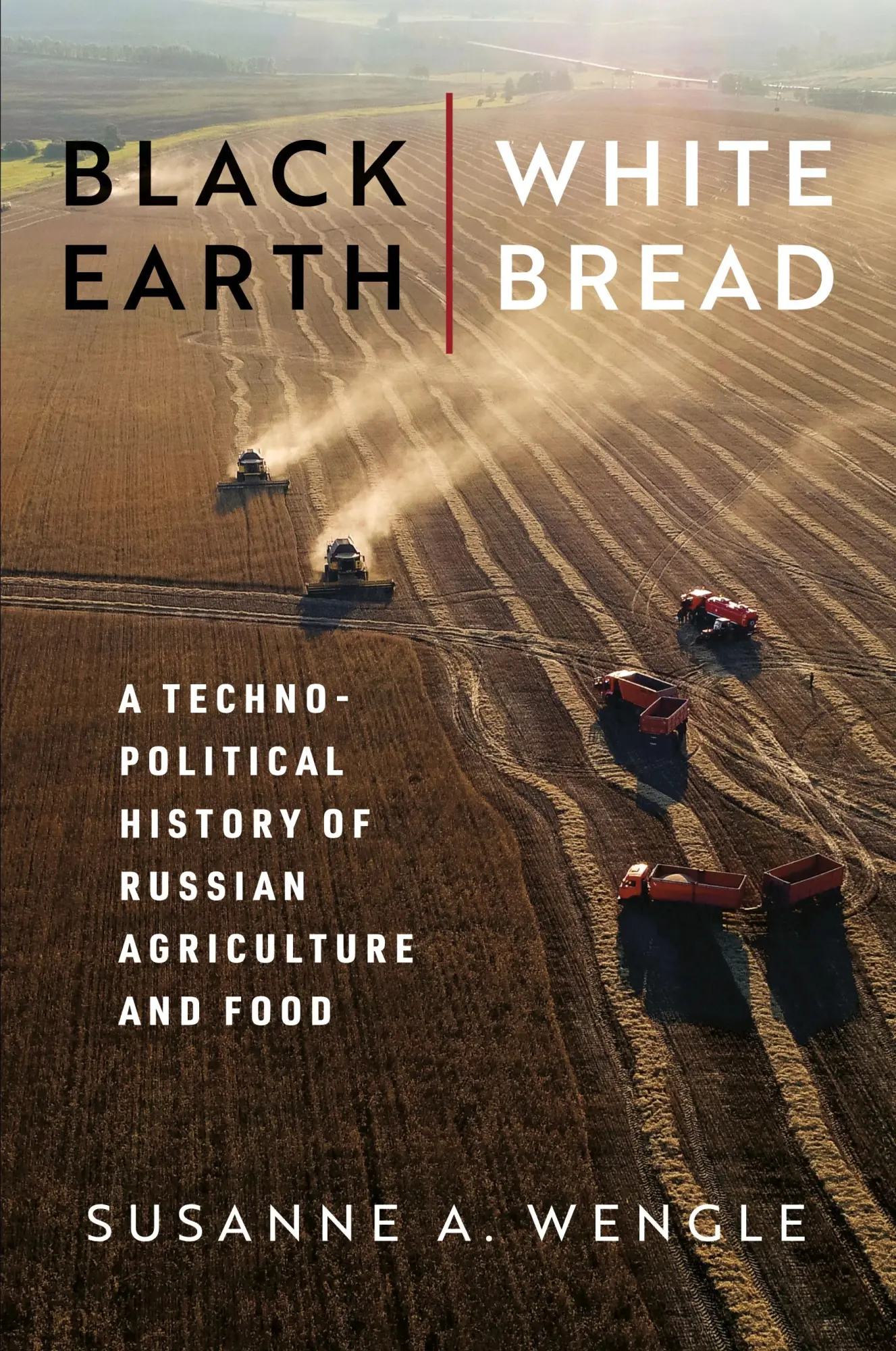 Cover: 9780299335441 | Black Earth, White Bread | Susanne A. Wengle | Taschenbuch | Englisch