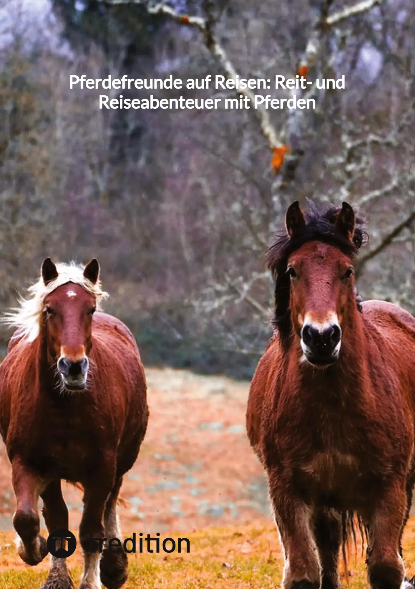 Cover: 9783347855441 | Pferdefreunde auf Reisen: Reit- und Reiseabenteuer mit Pferden | Buch