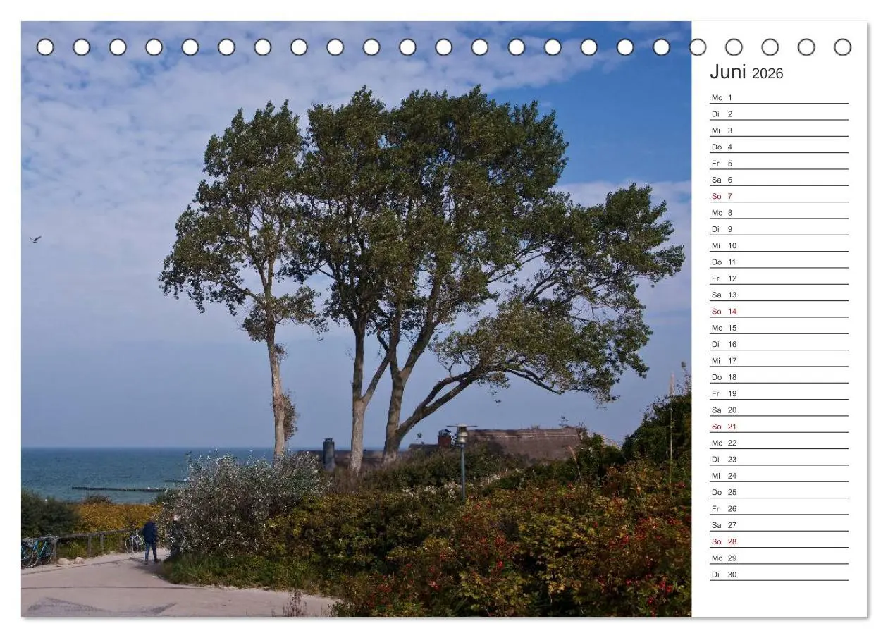 Bild: 9783457985441 | Künstlerparadies Ahrenshoop (Tischkalender 2026 DIN A5 quer),...