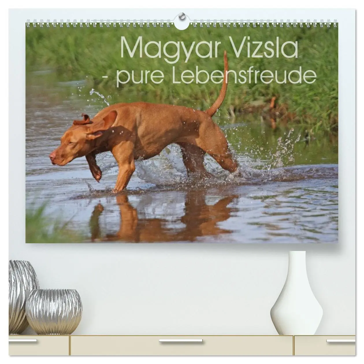 Cover: 9783516075441 | Magyar Vizsla - pure Lebensfreude (hochwertiger Premium...