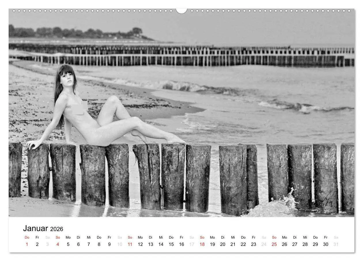 Bild: 9783457975541 | Klassischer Akt schwarz und weiß (Wandkalender 2026 DIN A2 quer),...