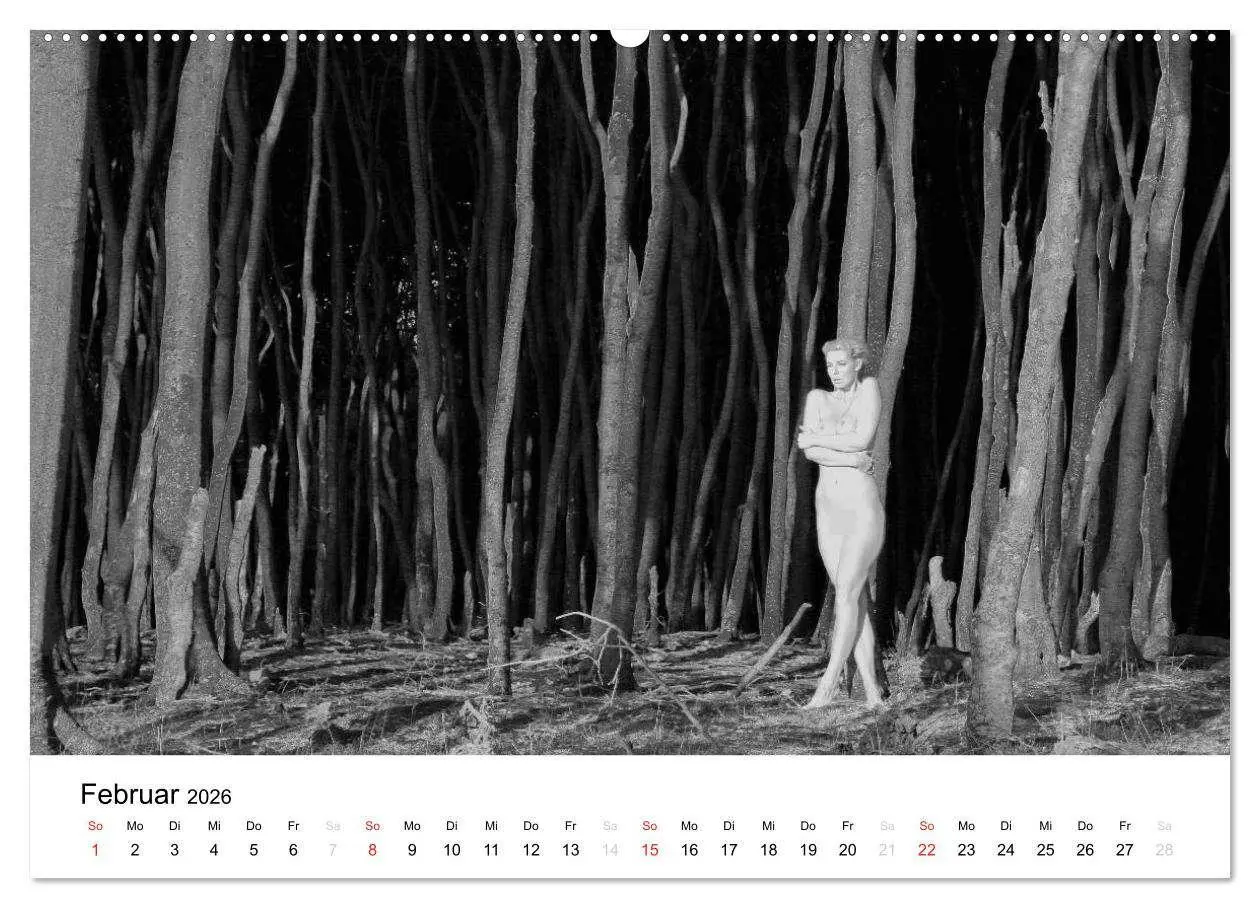 Bild: 9783457975541 | Klassischer Akt schwarz und weiß (Wandkalender 2026 DIN A2 quer),...
