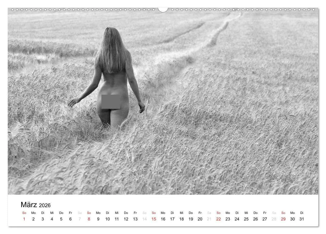 Bild: 9783457975541 | Klassischer Akt schwarz und weiß (Wandkalender 2026 DIN A2 quer),...