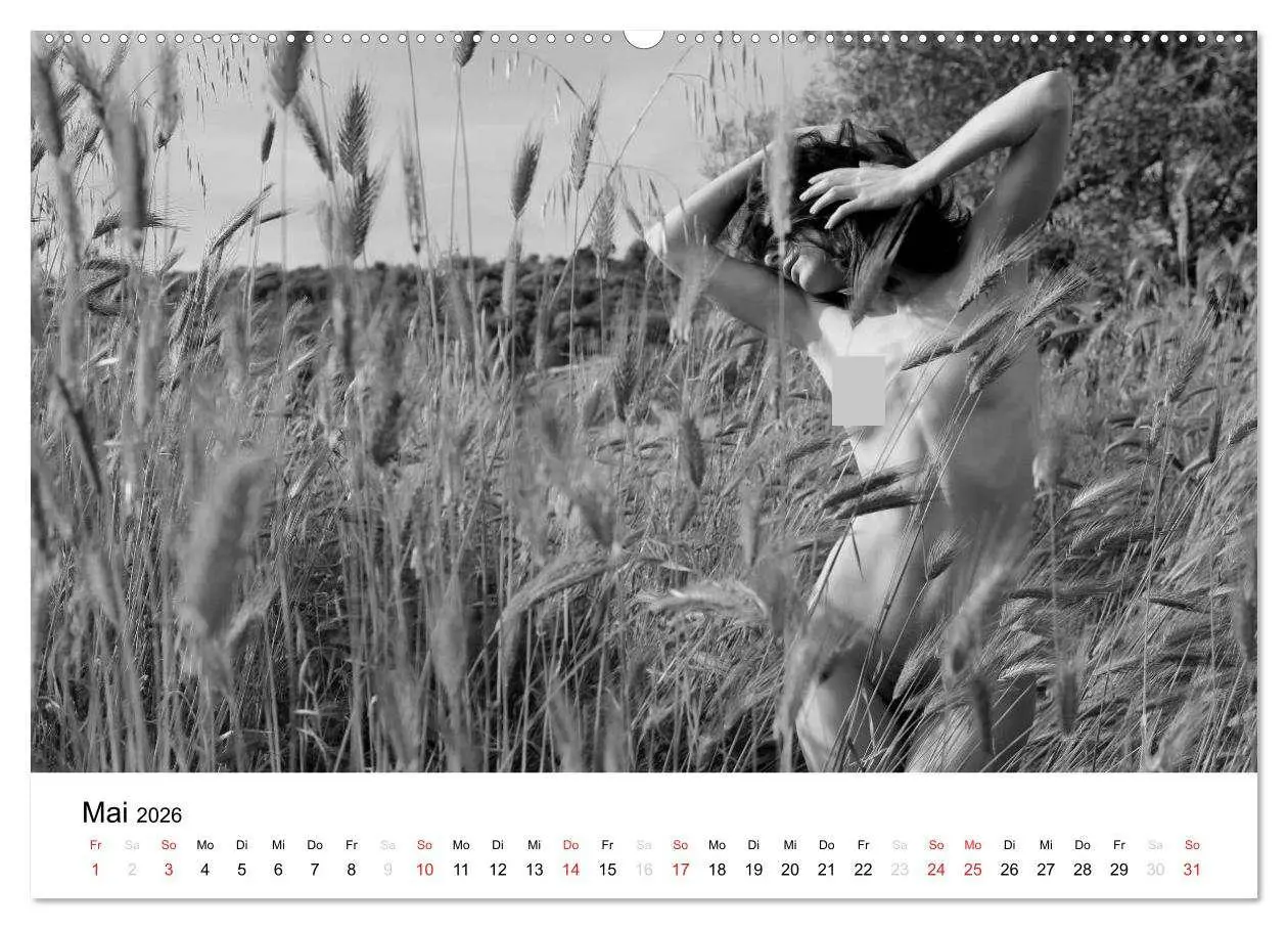 Bild: 9783457975541 | Klassischer Akt schwarz und weiß (Wandkalender 2026 DIN A2 quer),...