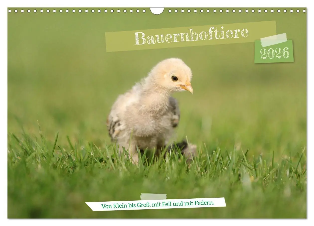 Cover: 9783457585641 | Bauernhoftiere - Von Klein bis Groß, mit Fell und mit Federn....