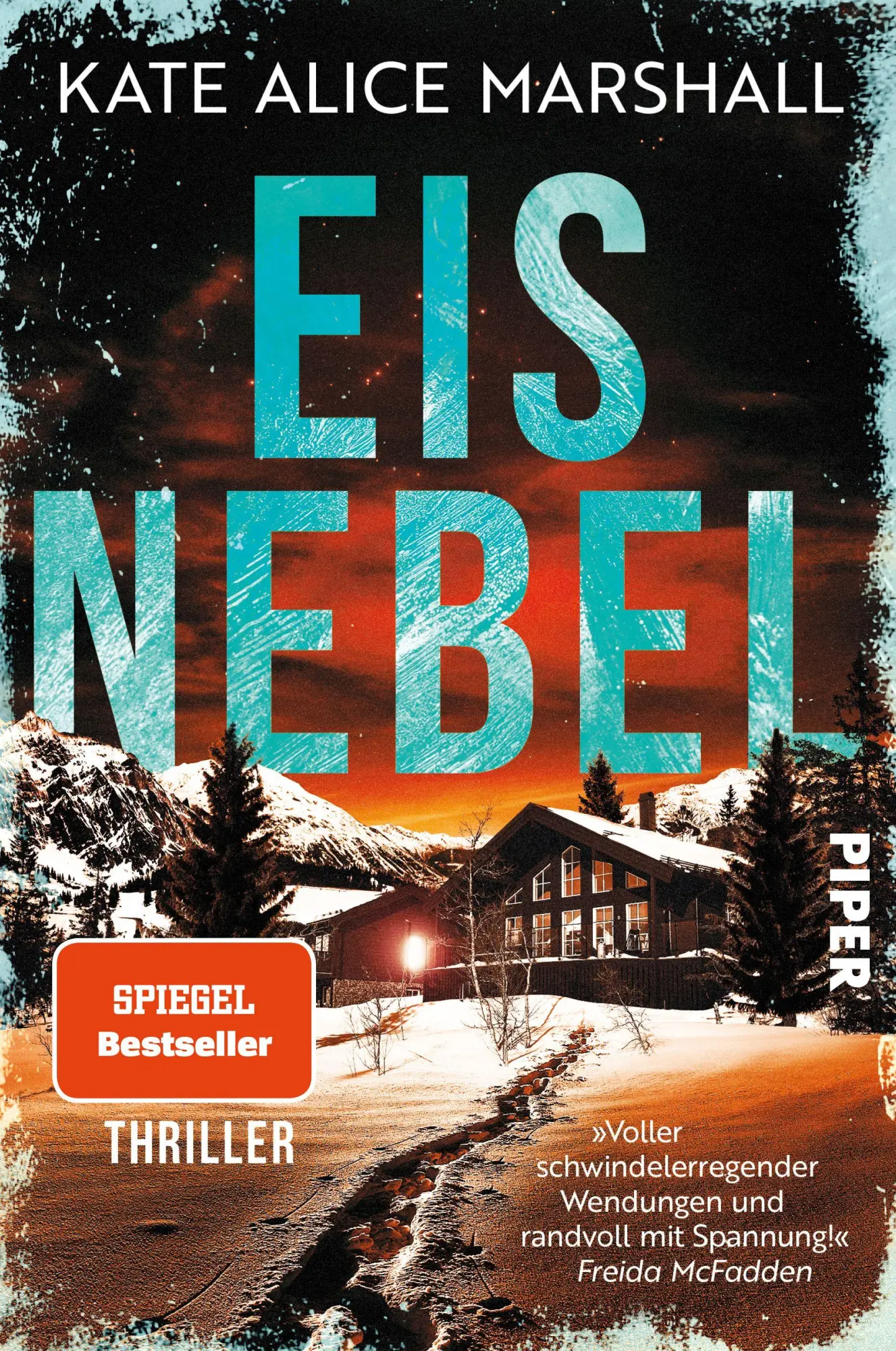 Cover: 9783492065641 | Eisnebel | Thriller 'Randvoll mit Spannung!' FREIDA McFADDEN | Buch
