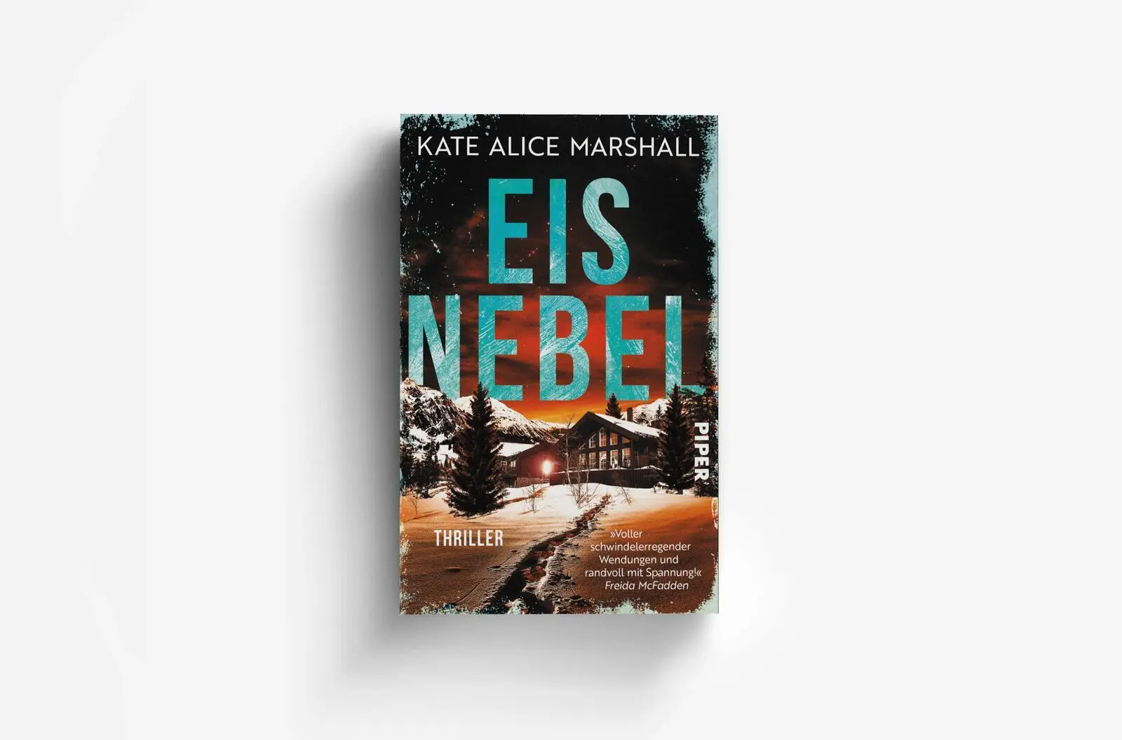Bild: 9783492065641 | Eisnebel | Thriller 'Randvoll mit Spannung!' FREIDA McFADDEN | Buch