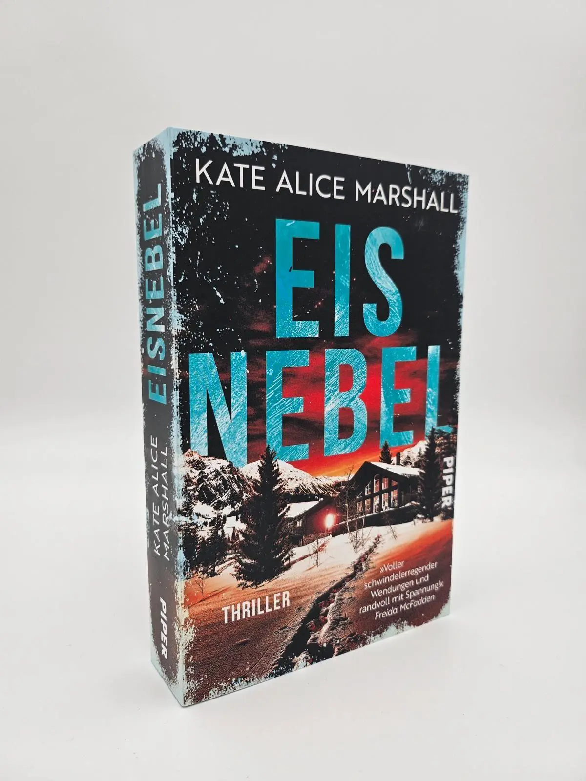 Bild: 9783492065641 | Eisnebel | Thriller 'Randvoll mit Spannung!' FREIDA McFADDEN | Buch