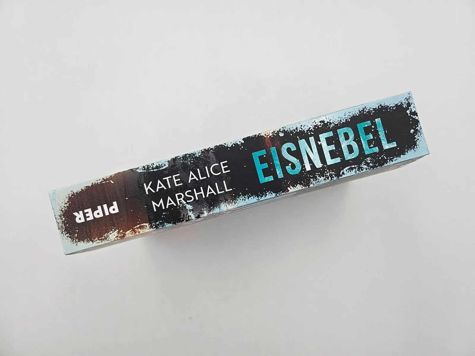 Bild: 9783492065641 | Eisnebel | Thriller 'Randvoll mit Spannung!' FREIDA McFADDEN | Buch