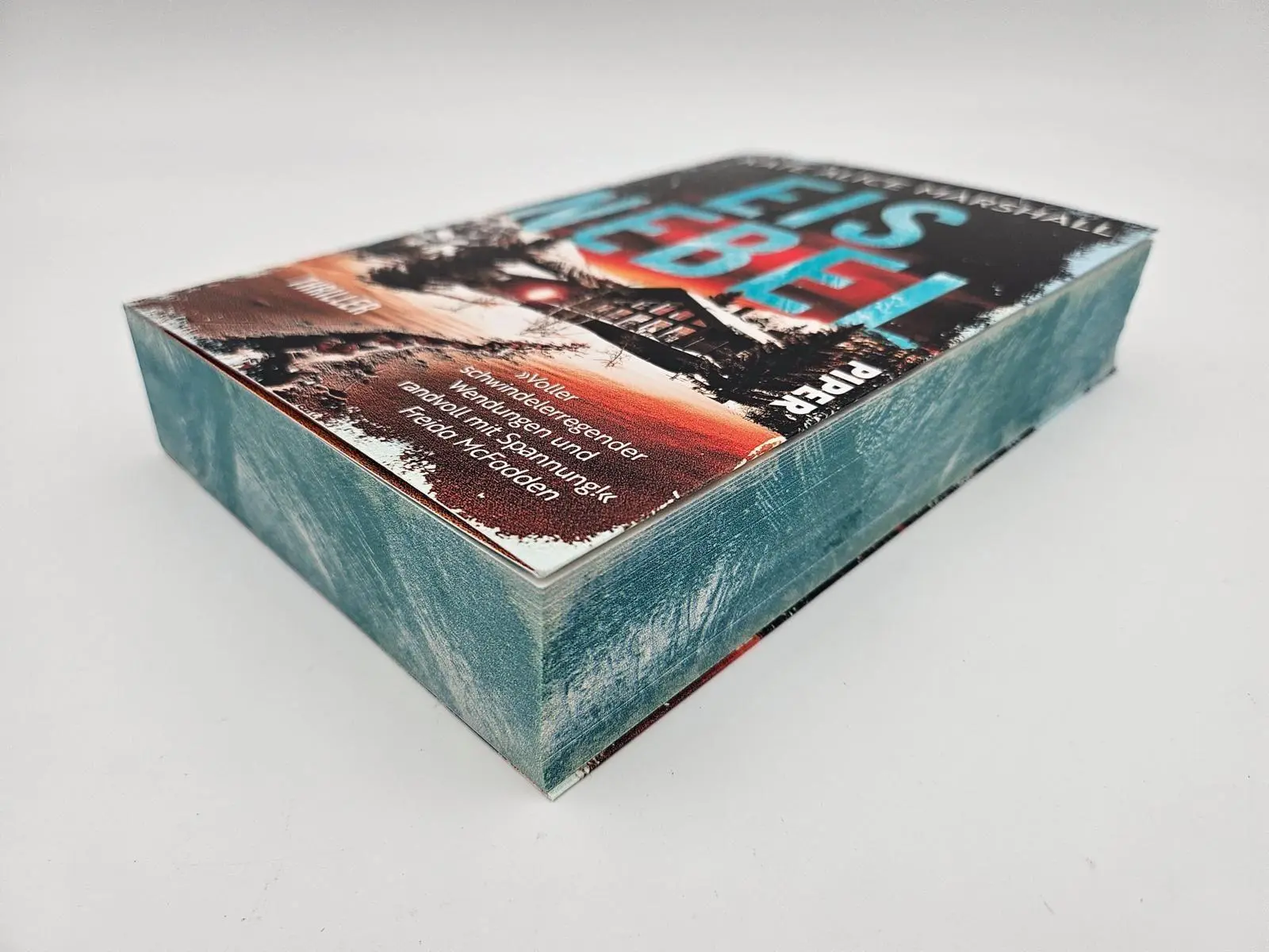 Bild: 9783492065641 | Eisnebel | Thriller 'Randvoll mit Spannung!' FREIDA McFADDEN | Buch