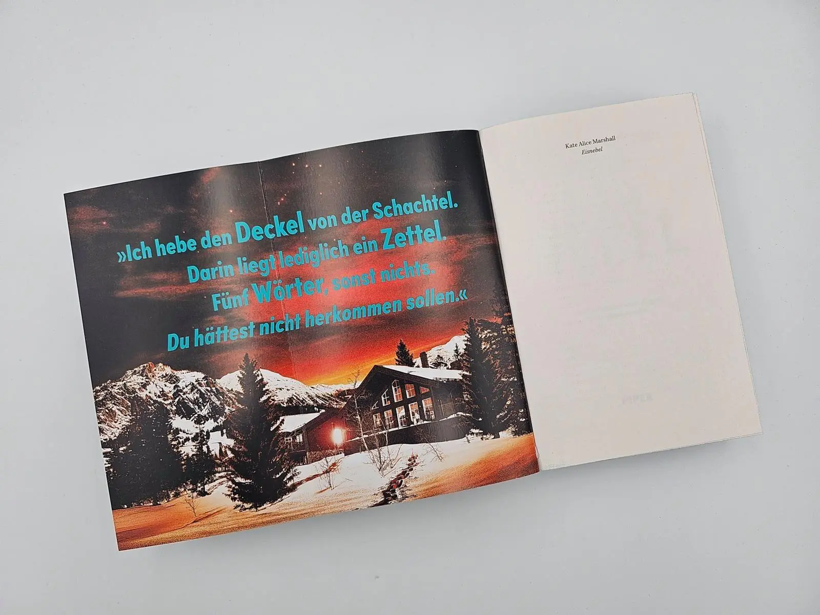 Bild: 9783492065641 | Eisnebel | Thriller 'Randvoll mit Spannung!' FREIDA McFADDEN | Buch