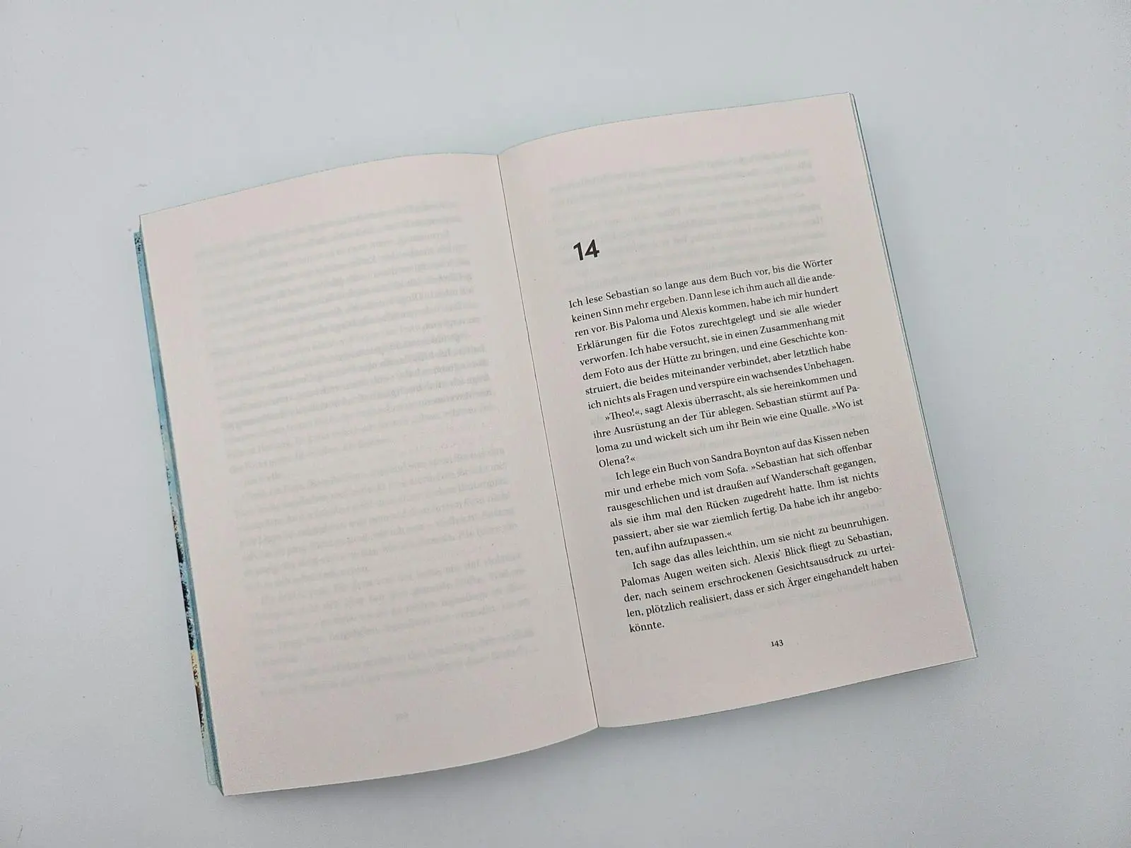 Bild: 9783492065641 | Eisnebel | Thriller 'Randvoll mit Spannung!' FREIDA McFADDEN | Buch