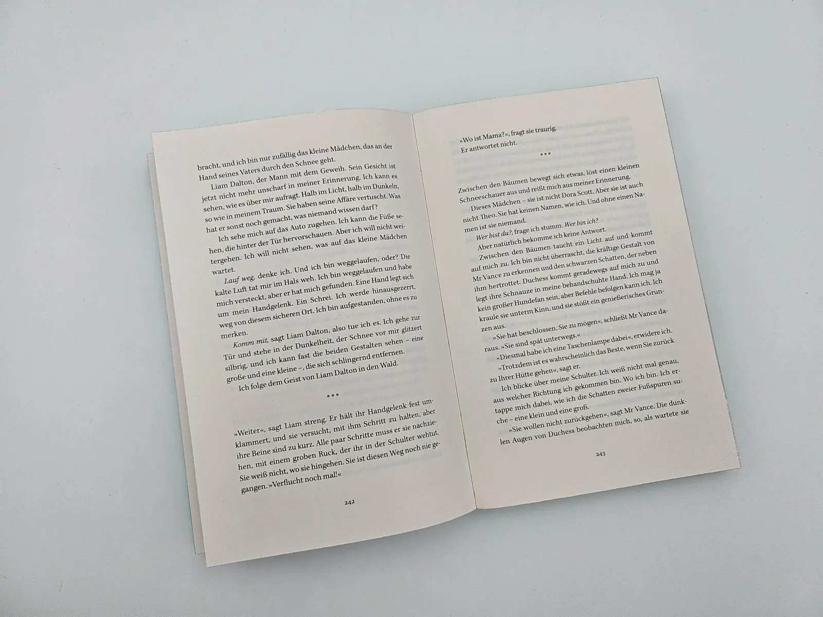 Bild: 9783492065641 | Eisnebel | Thriller 'Randvoll mit Spannung!' FREIDA McFADDEN | Buch