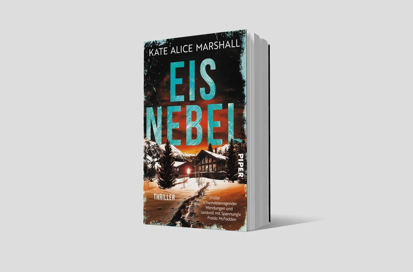 Bild: 9783492065641 | Eisnebel | Thriller 'Randvoll mit Spannung!' FREIDA McFADDEN | Buch