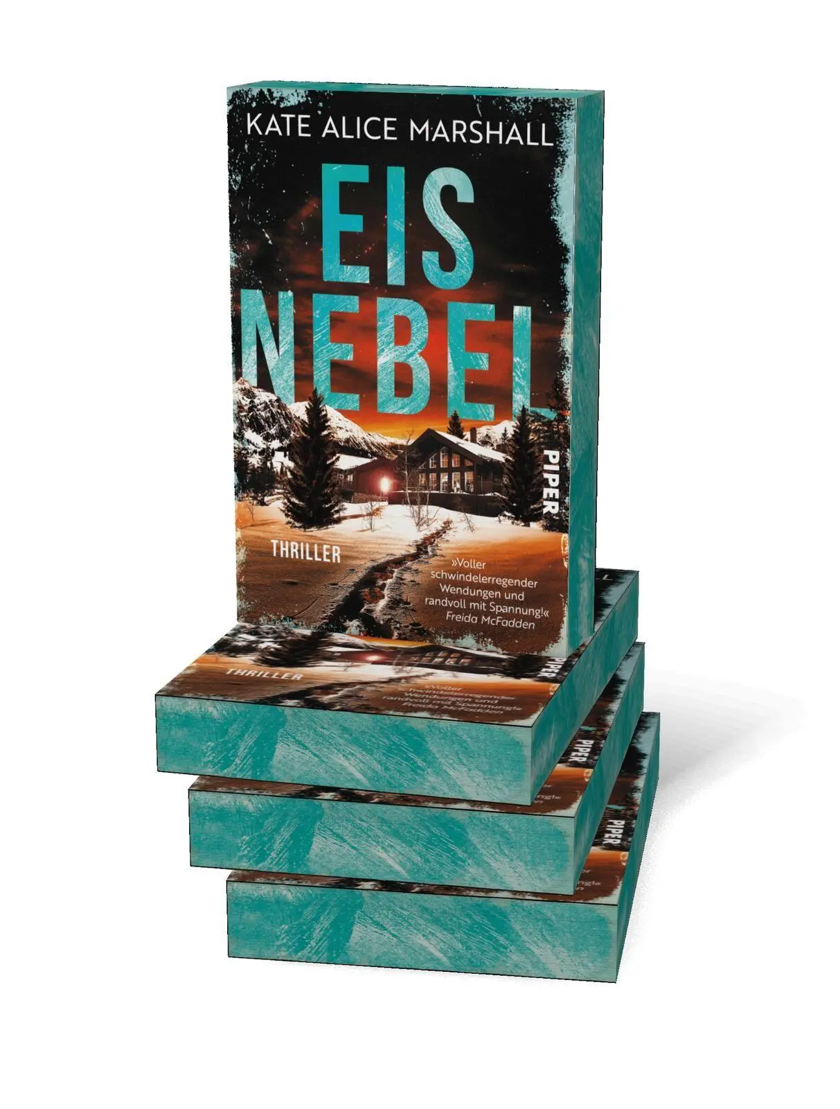 Bild: 9783492065641 | Eisnebel | Thriller 'Randvoll mit Spannung!' FREIDA McFADDEN | Buch