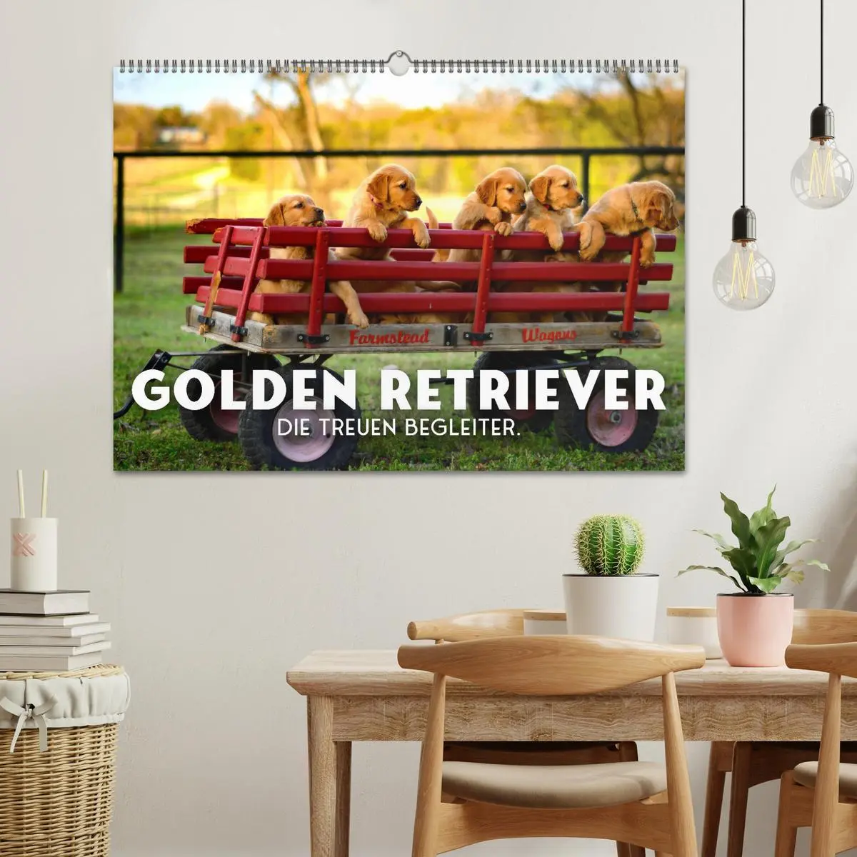 Bild: 9783457565841 | Golden Retriever - Die treuen Begleiter. (Wandkalender 2026 DIN A2...