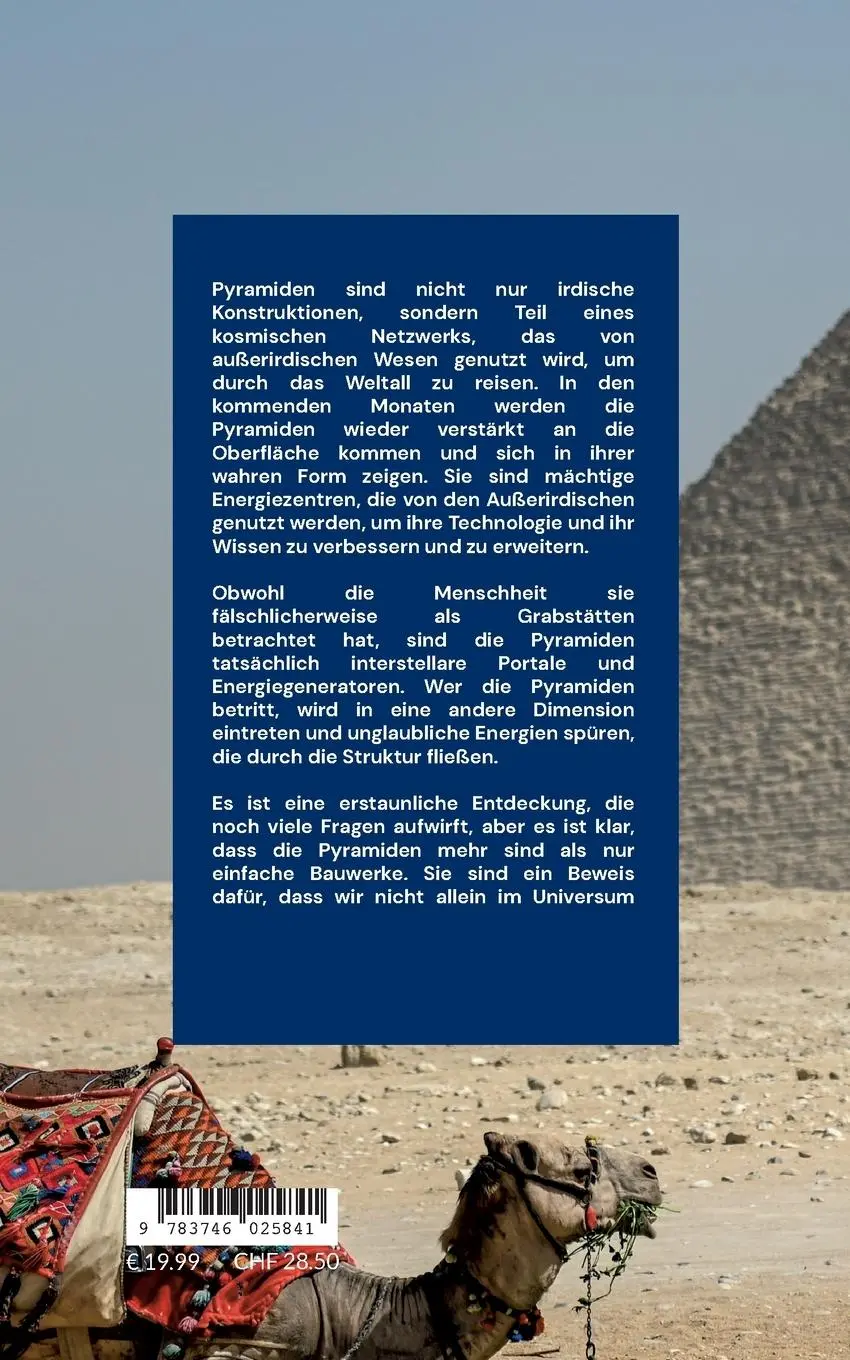 Rückseite: 9783746025841 | Unglaubliche Fakten über die Pyramiden auf unserer Erde | Moschdehner