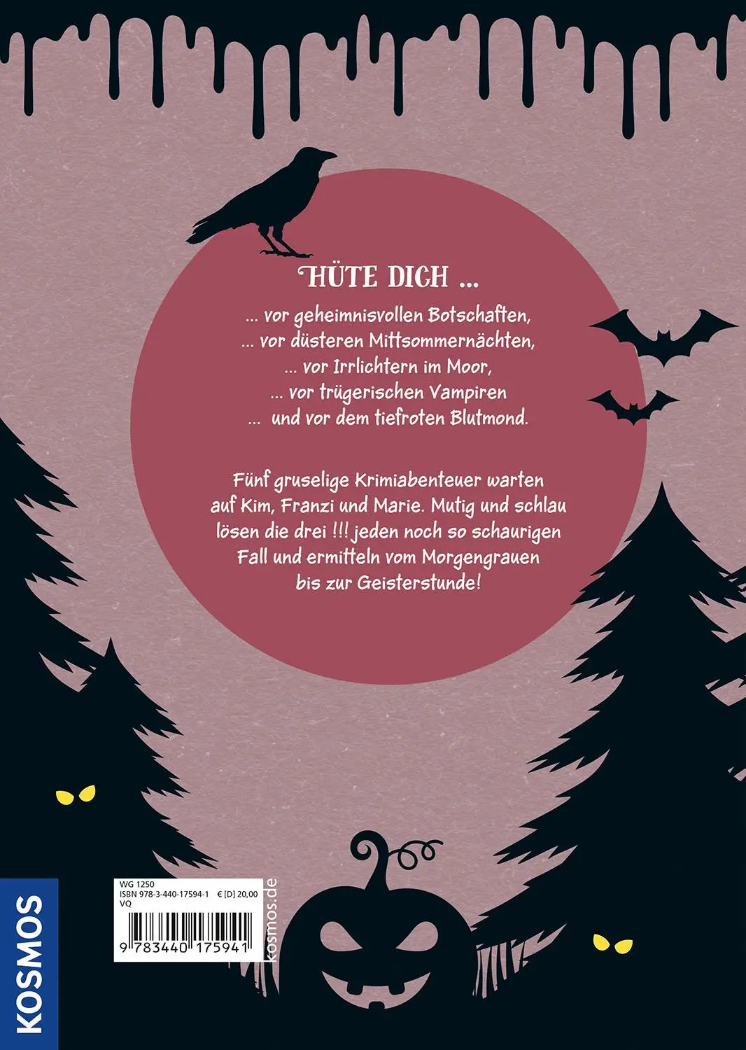 Bild: 9783440175941 | Die drei !!!, Geisterstunde | Das Krimi-Gruselbuch mit den drei !!!