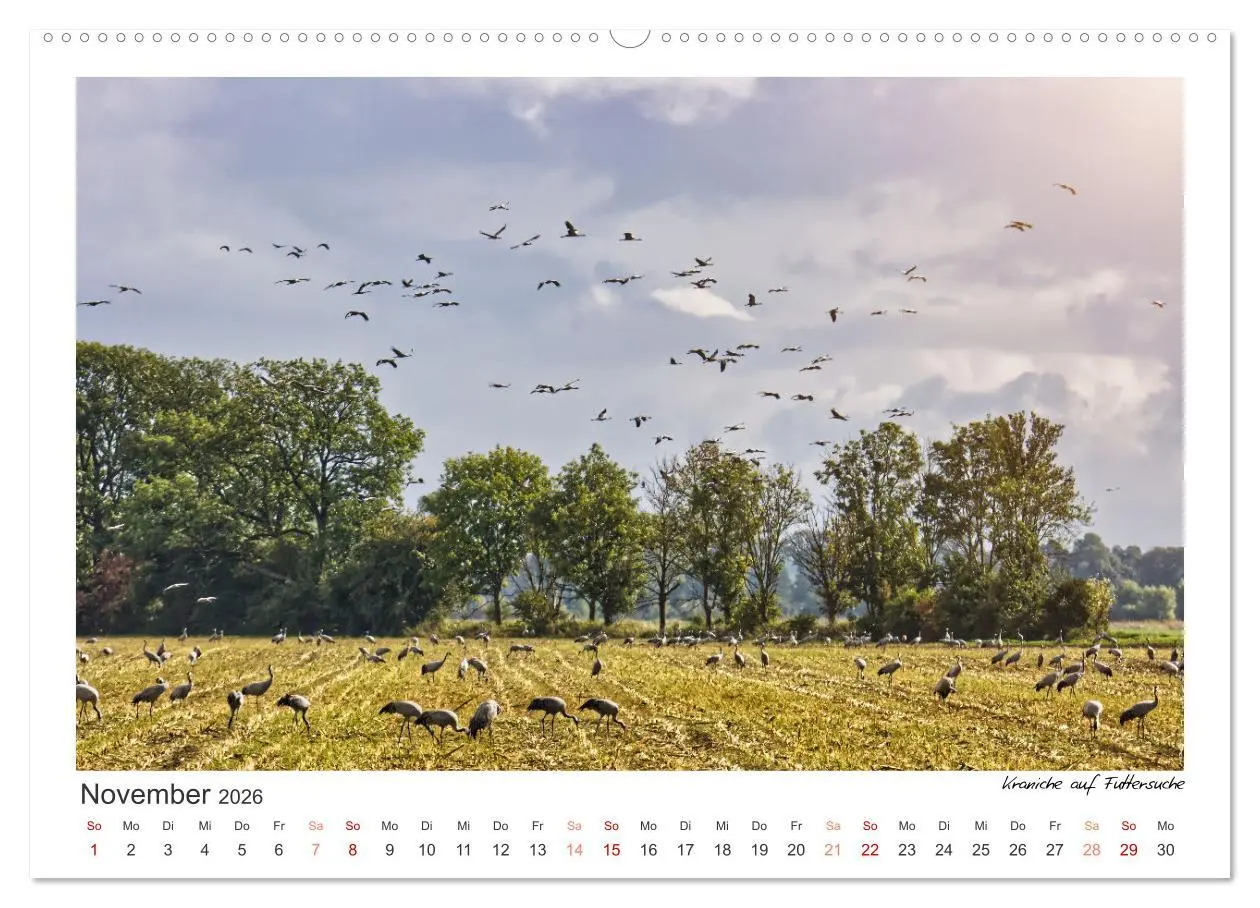 Bild: 9783457555941 | Das Havelland, immer einen Besuch wert (Wandkalender 2026 DIN A2...