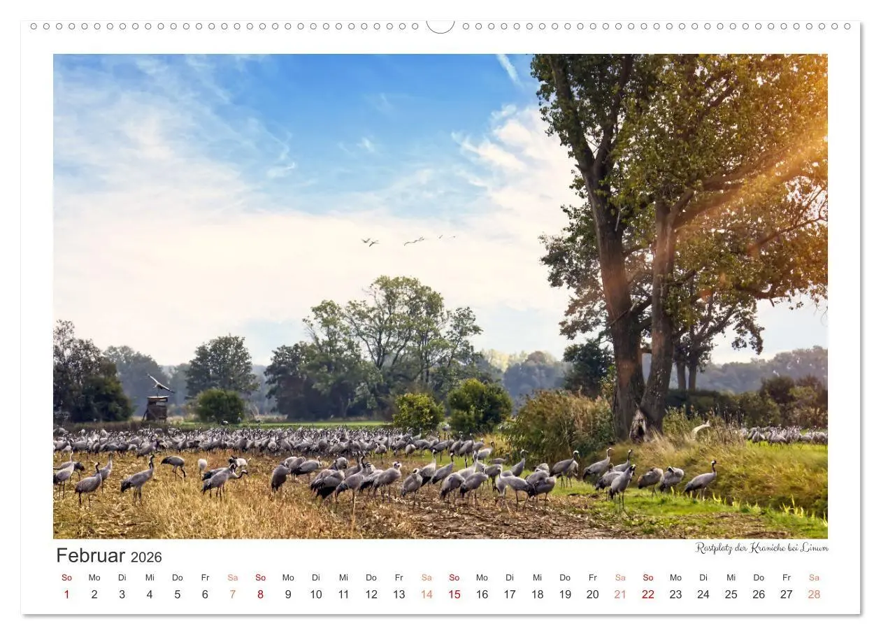 Bild: 9783457555941 | Das Havelland, immer einen Besuch wert (Wandkalender 2026 DIN A2...