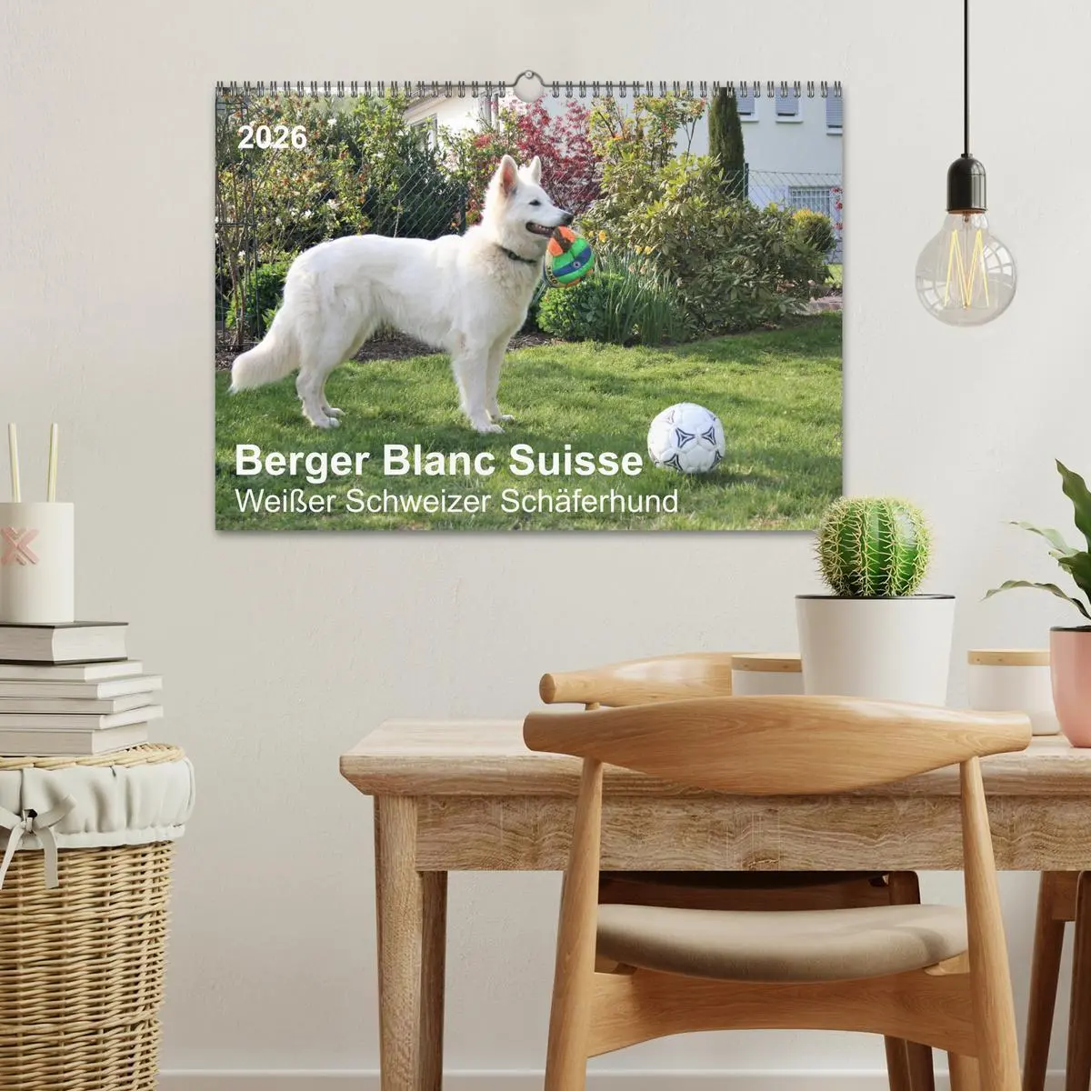 Bild: 9783457795941 | Berger Blanc Suisse - Weißer Schweizer Schäferhund (Wandkalender...