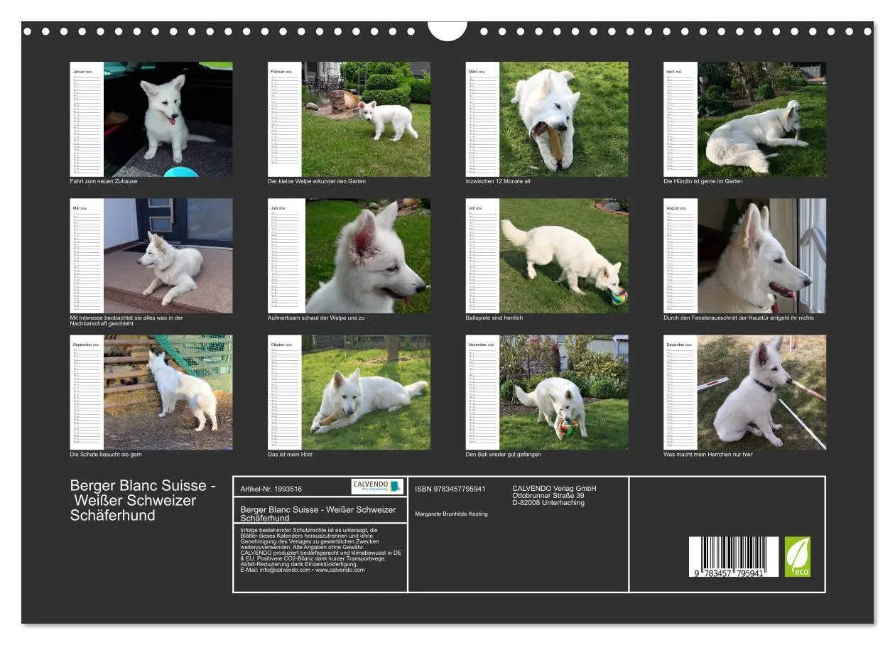 Bild: 9783457795941 | Berger Blanc Suisse - Weißer Schweizer Schäferhund (Wandkalender...