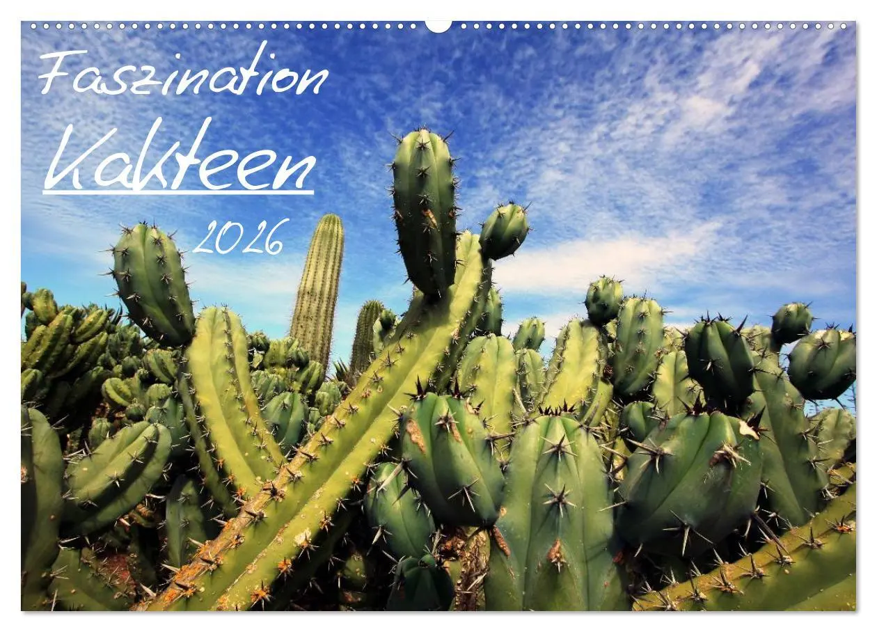 Cover: 9783516195941 | Faszination Kakteen (Wandkalender 2026 DIN A2 quer), CALVENDO...