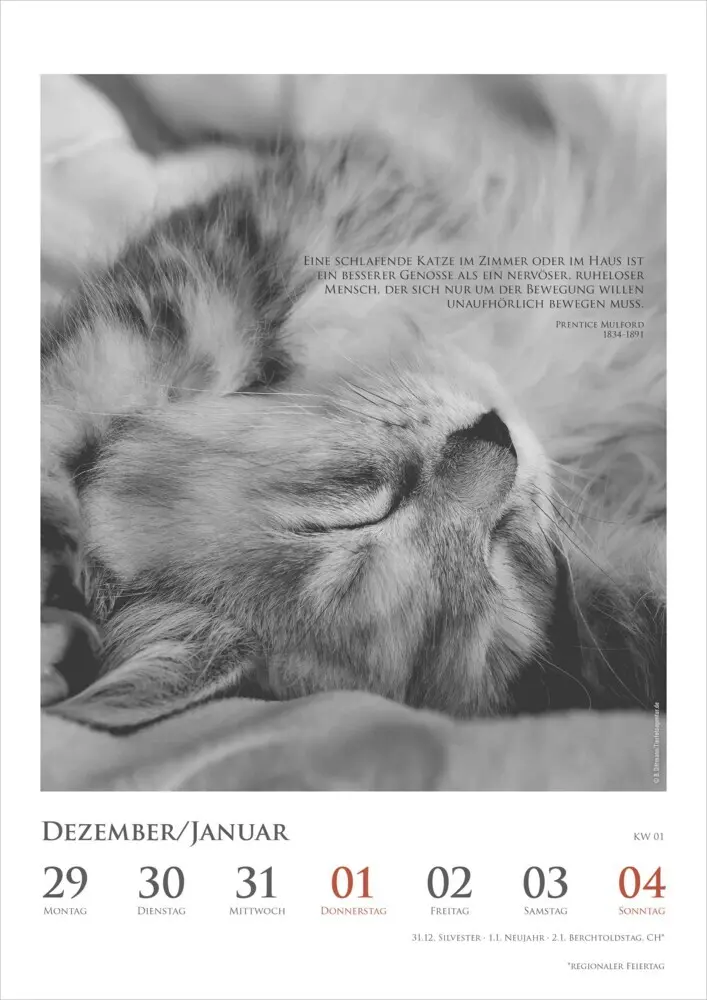 Bild: 4069095006041 | DUMONTS - Katzenkalender 2026 - Wochenkalender mit literarischen...