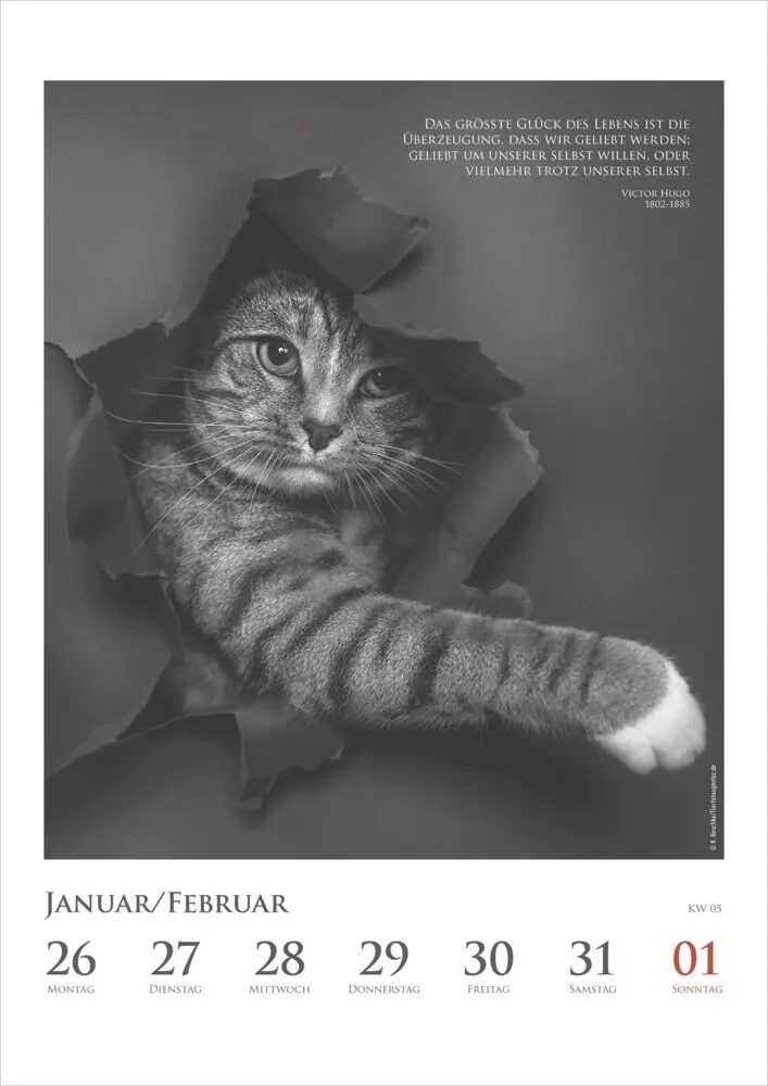 Bild: 4069095006041 | DUMONTS - Katzenkalender 2026 - Wochenkalender mit literarischen...