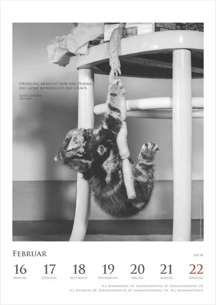 Bild: 4069095006041 | DUMONTS - Katzenkalender 2026 - Wochenkalender mit literarischen...