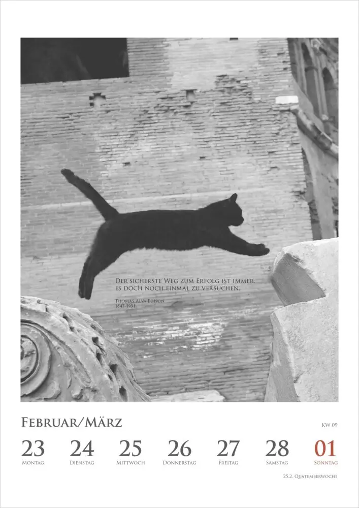 Bild: 4069095006041 | DUMONTS - Katzenkalender 2026 - Wochenkalender mit literarischen...