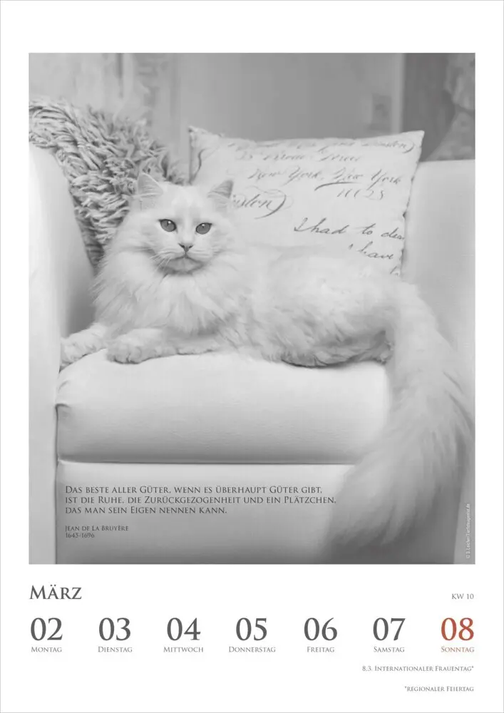 Bild: 4069095006041 | DUMONTS - Katzenkalender 2026 - Wochenkalender mit literarischen...