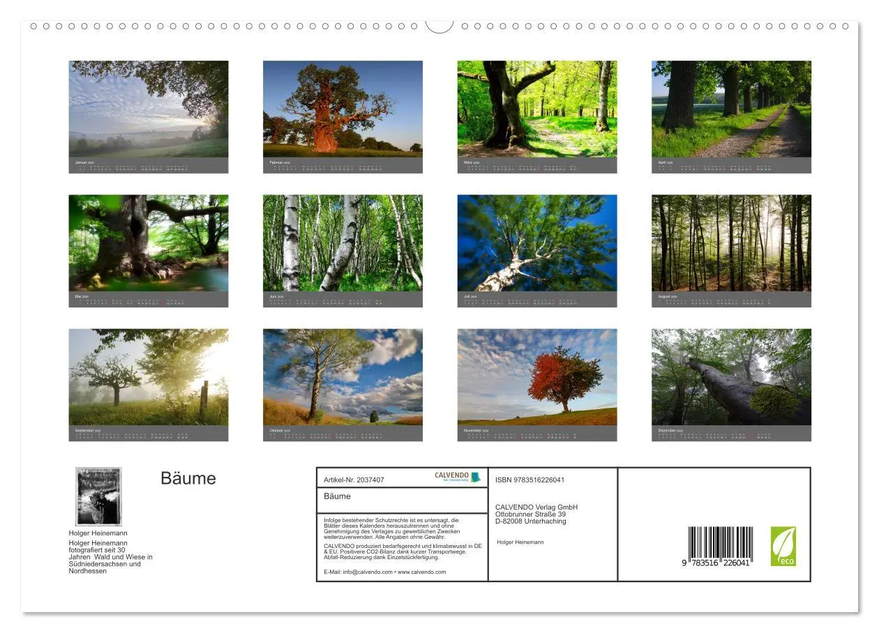 Bild: 9783516226041 | Bäume (hochwertiger Premium Wandkalender 2026 DIN A2 quer),...