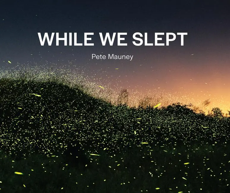 Cover: 9781961856141 | While We Slept | Pete Mauney | Taschenbuch | Englisch | 2024