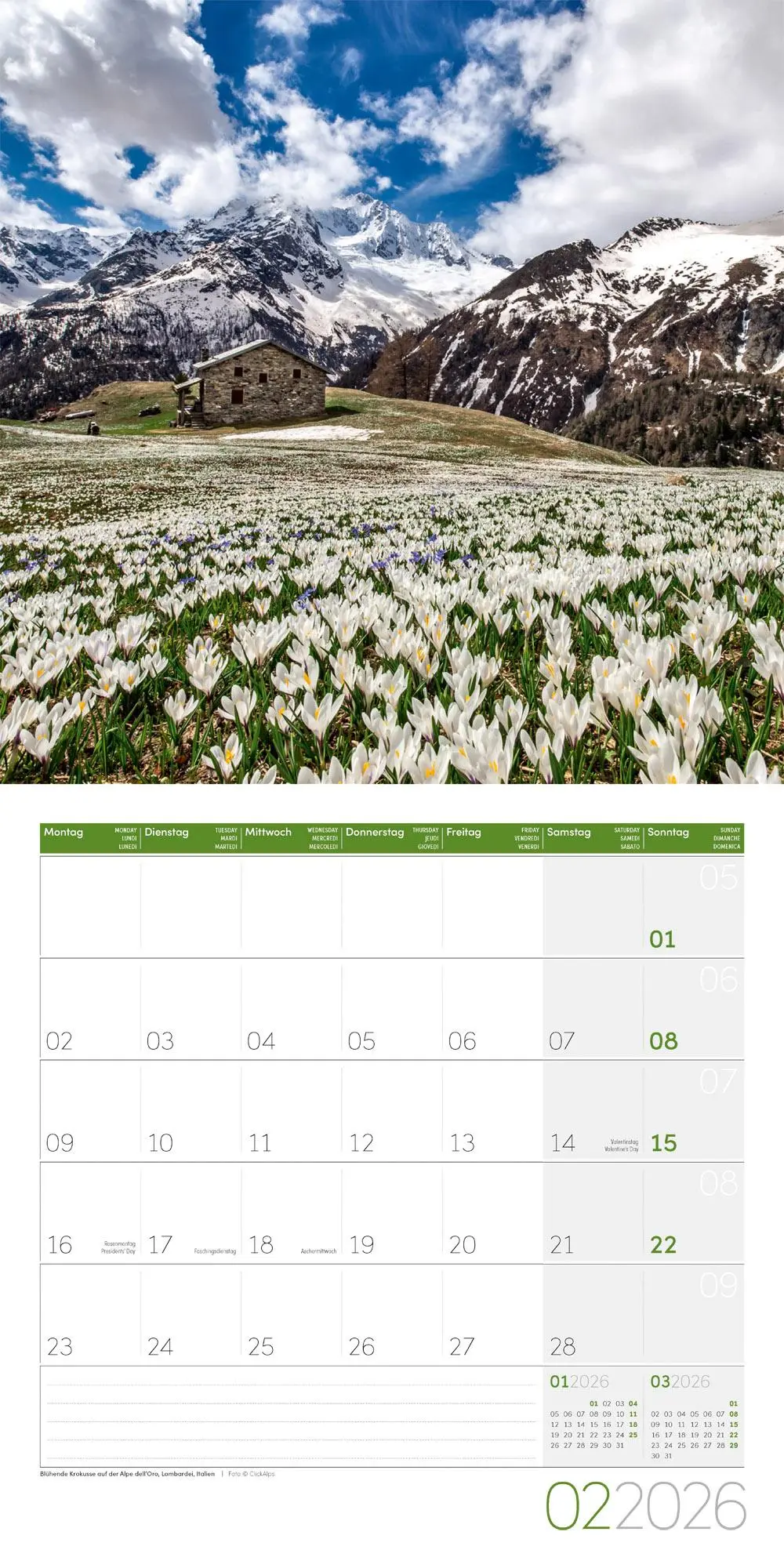 Bild: 9783838446141 | Alpen Kalender 2026 - 30x30 | Ackermann Kunstverlag GmbH | Kalender