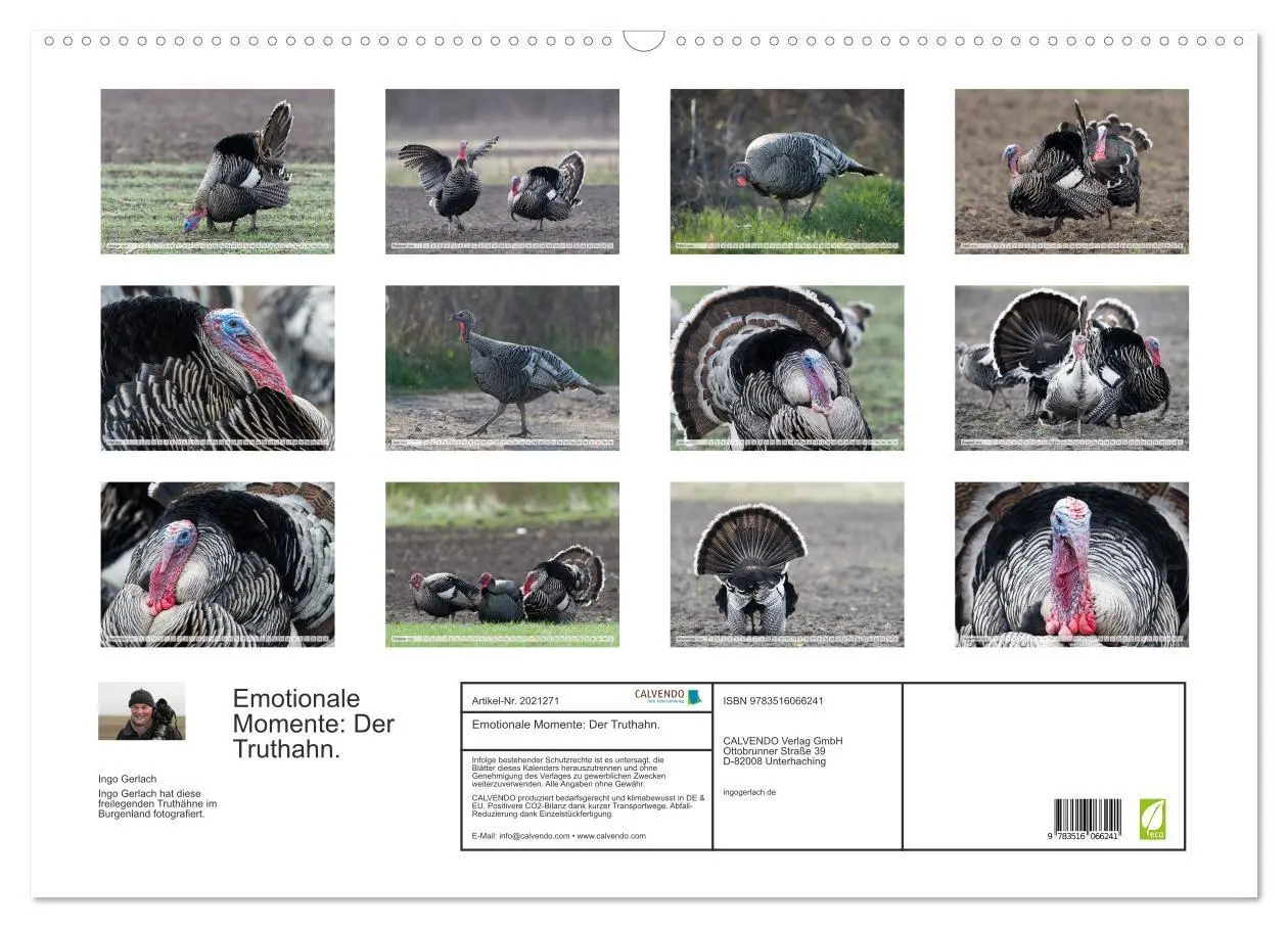 Bild: 9783516066241 | Emotionale Momente: Der Truthahn. (Wandkalender 2026 DIN A2 quer),...
