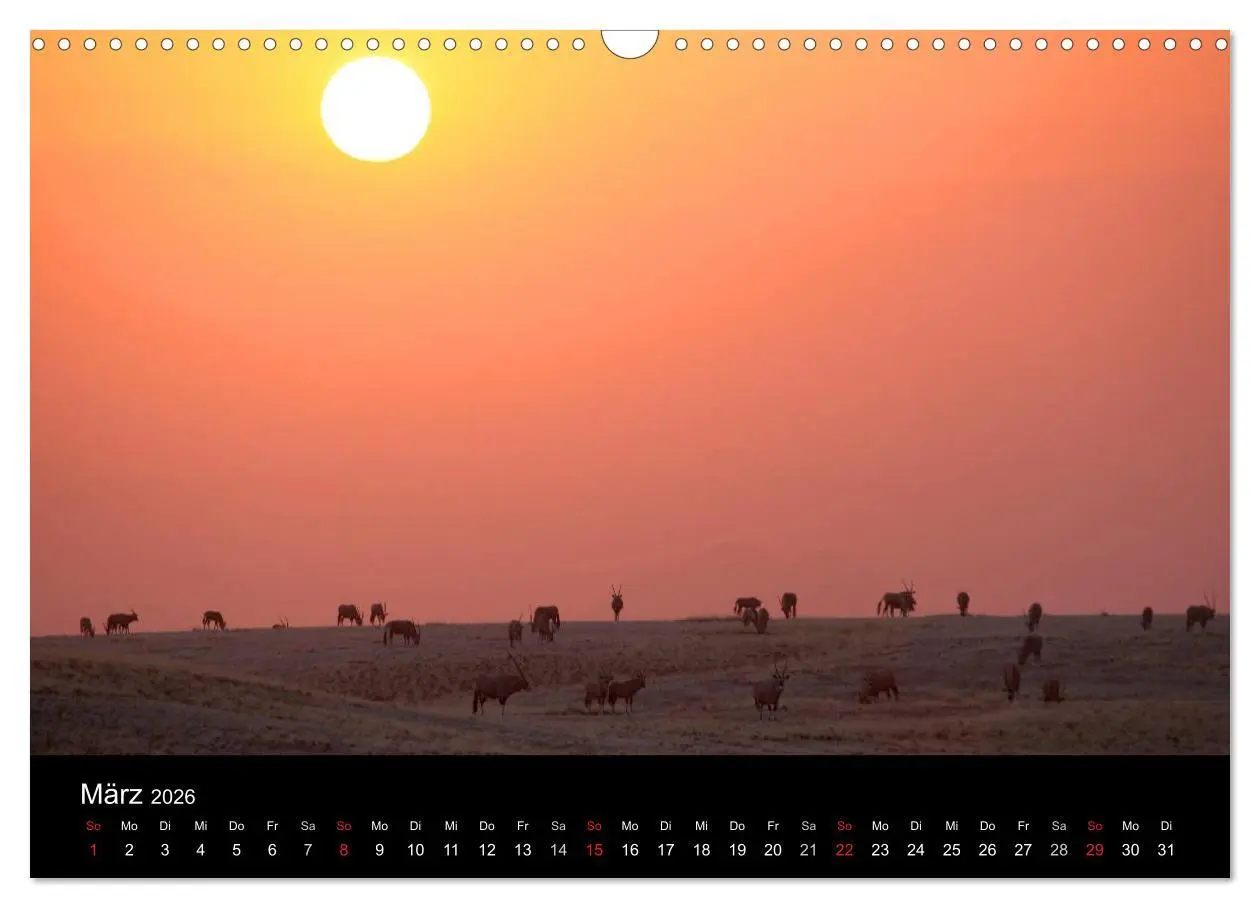 Bild: 9783516206241 | Eindrücke aus Namibia (Wandkalender 2026 DIN A3 quer), CALVENDO...