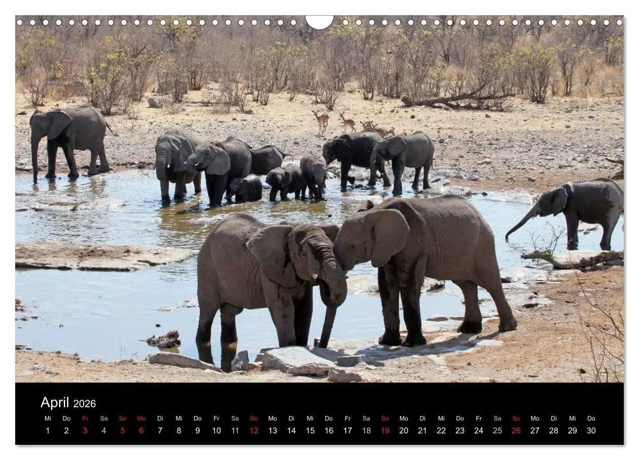 Bild: 9783516206241 | Eindrücke aus Namibia (Wandkalender 2026 DIN A3 quer), CALVENDO...