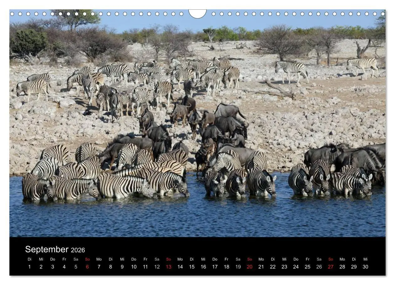 Bild: 9783516206241 | Eindrücke aus Namibia (Wandkalender 2026 DIN A3 quer), CALVENDO...