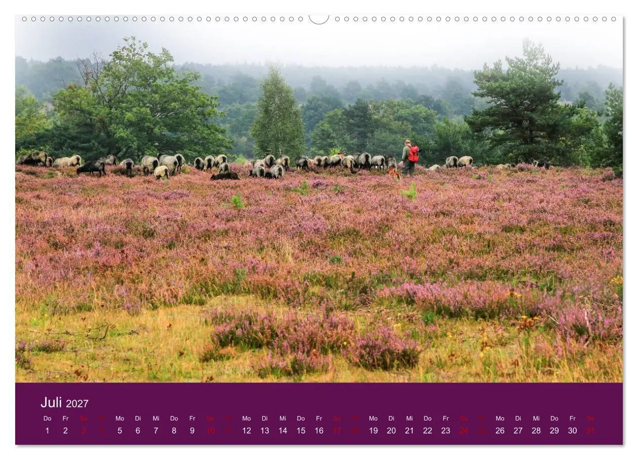 Bild: 9783569846241 | Die Heide blüht (hochwertiger Premium Wandkalender 2027 DIN A2...