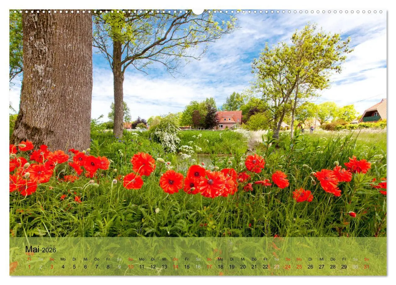Bild: 9783457966341 | Nordsee - Traum (hochwertiger Premium Wandkalender 2026 DIN A2...