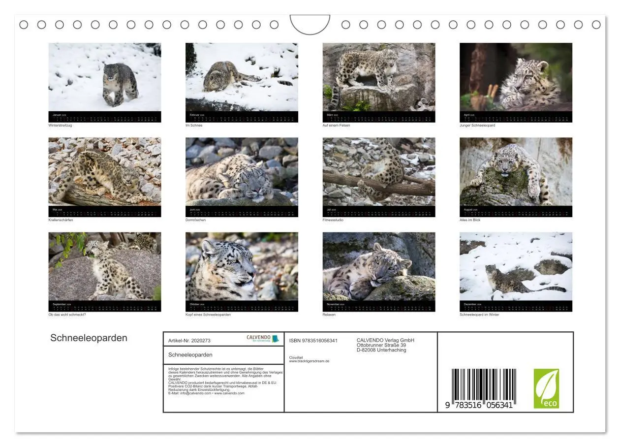 Bild: 9783516056341 | Schneeleoparden (Wandkalender 2026 DIN A4 quer), CALVENDO...