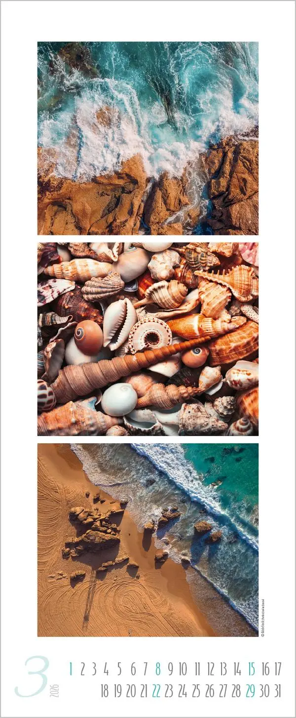Bild: 9783731886341 | Meeresrauschen 2026 | Verlag Korsch | Kalender | Spiralbindung | 14 S.