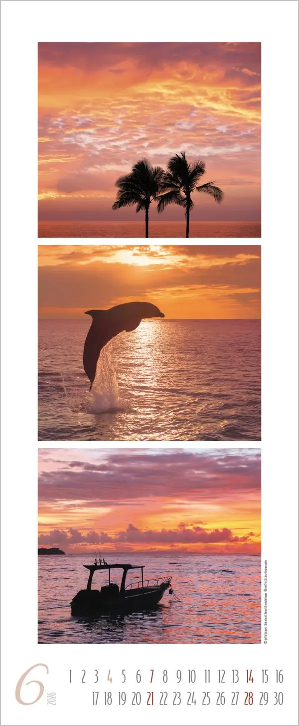 Bild: 9783731886341 | Meeresrauschen 2026 | Verlag Korsch | Kalender | Spiralbindung | 14 S.